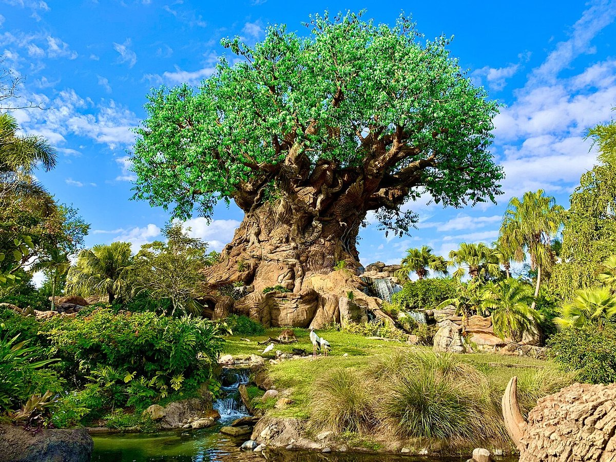 Tree of Life at Disney’s Animal Kingdom